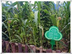 兰科博弈·RankBet(中国)有限公司官网