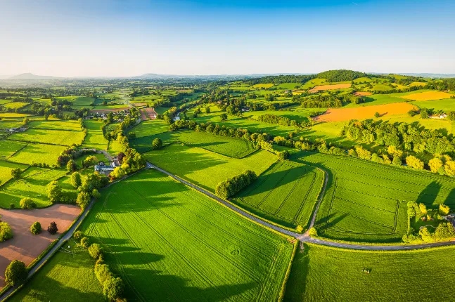 兰科博弈·RankBet(中国)有限公司官网