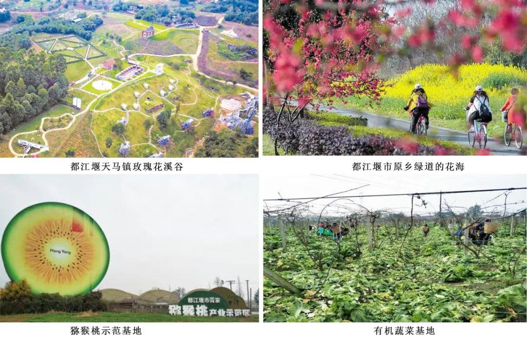 兰科博弈·RankBet(中国)有限公司官网