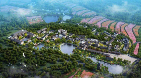 兰科博弈·RankBet(中国)有限公司官网