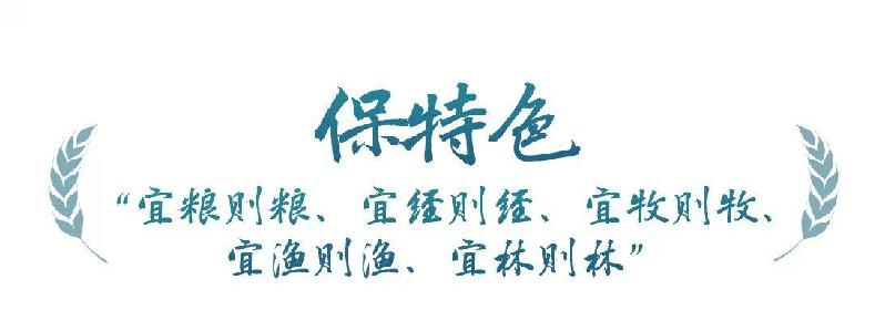 兰科博弈·RankBet(中国)有限公司官网