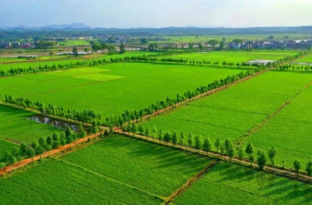 兰科博弈·RankBet(中国)有限公司官网