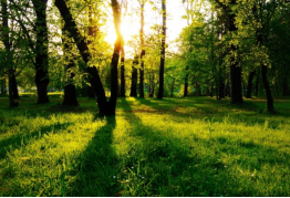 兰科博弈·RankBet(中国)有限公司官网