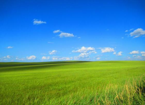 兰科博弈·RankBet(中国)有限公司官网