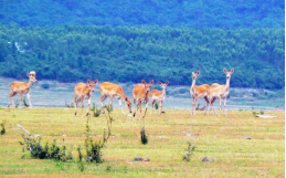 兰科博弈·RankBet(中国)有限公司官网