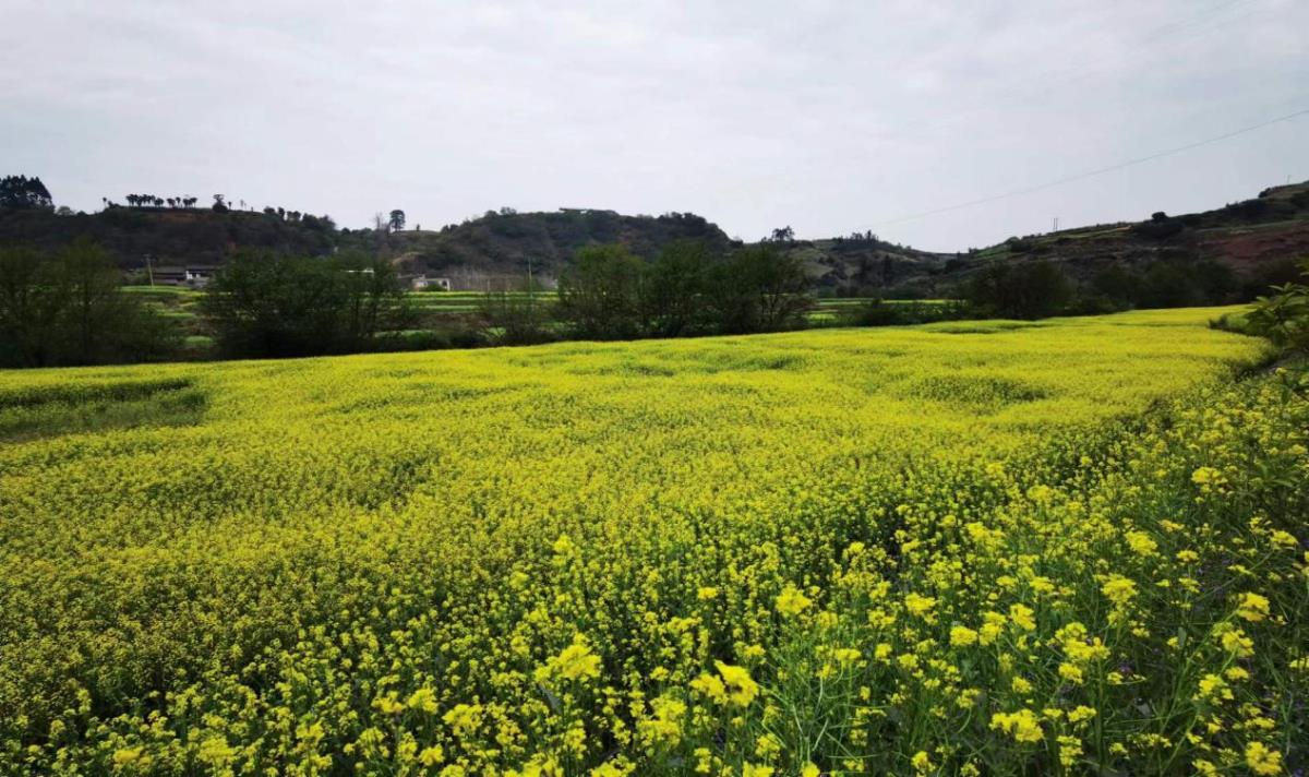 兰科博弈·RankBet(中国)有限公司官网