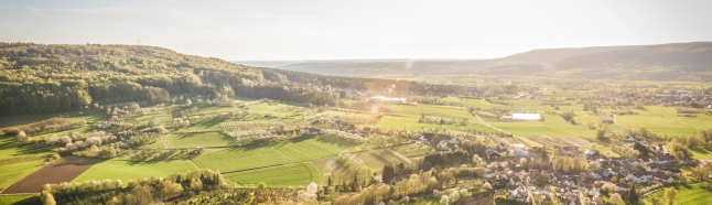 兰科博弈·RankBet(中国)有限公司官网