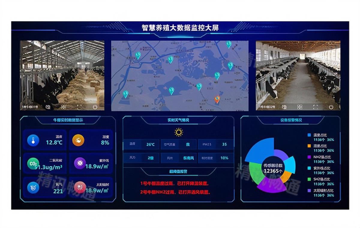 兰科博弈·RankBet(中国)有限公司官网