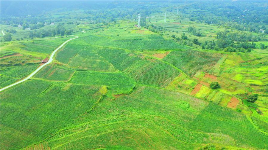 兰科博弈·RankBet(中国)有限公司官网