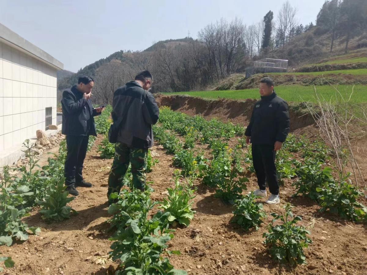 兰科博弈·RankBet(中国)有限公司官网