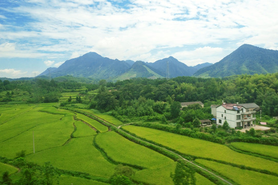 兰科博弈·RankBet(中国)有限公司官网