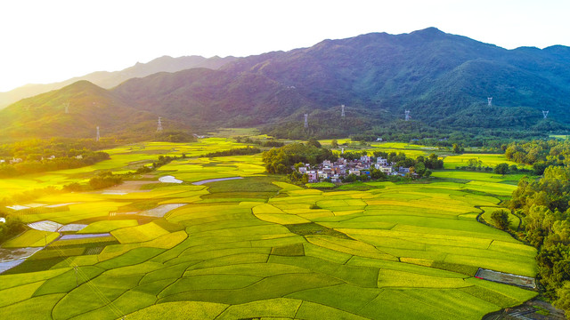 兰科博弈·RankBet(中国)有限公司官网