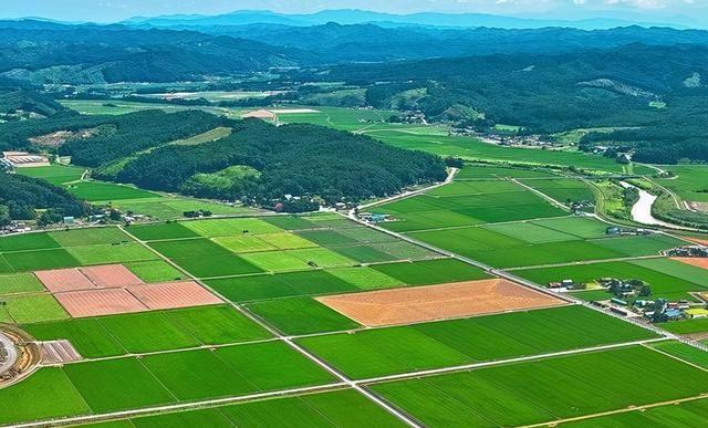 兰科博弈·RankBet(中国)有限公司官网