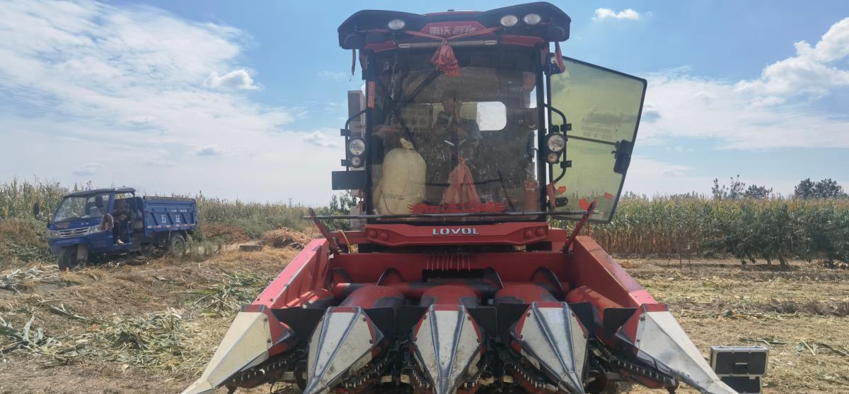 兰科博弈·RankBet(中国)有限公司官网