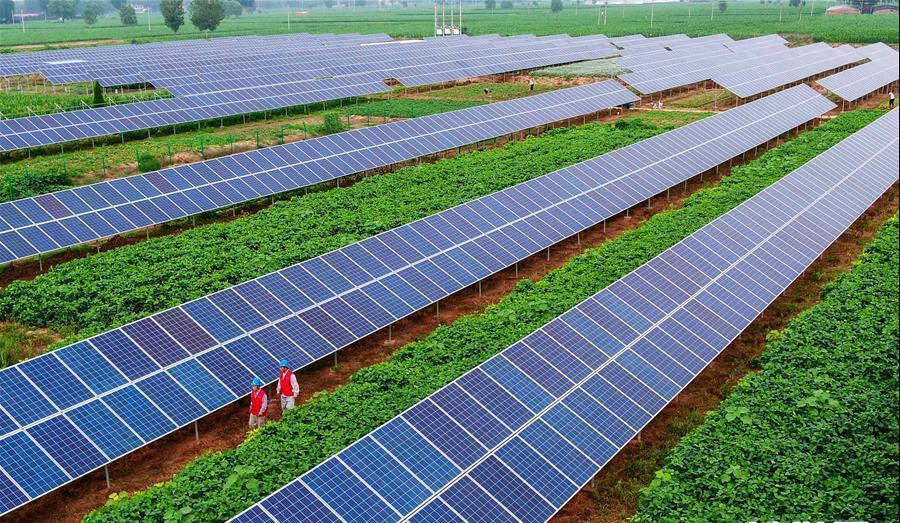 兰科博弈·RankBet(中国)有限公司官网