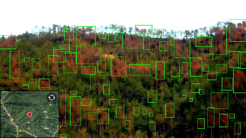 兰科博弈·RankBet(中国)有限公司官网