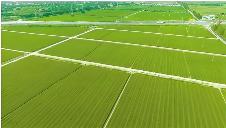 兰科博弈·RankBet(中国)有限公司官网